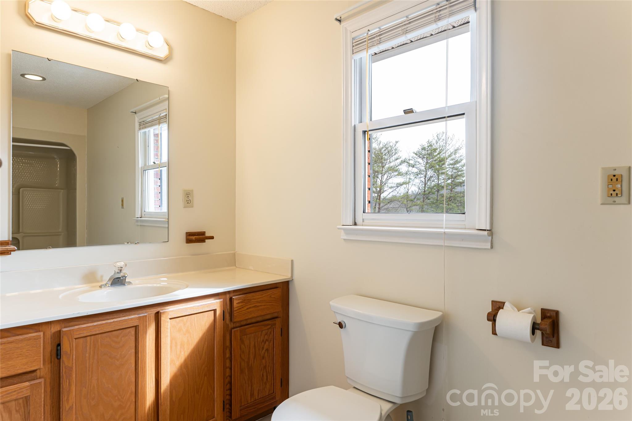 308 Gouges Branch Road Leicester, NC 28748 - Photo 33 of 47