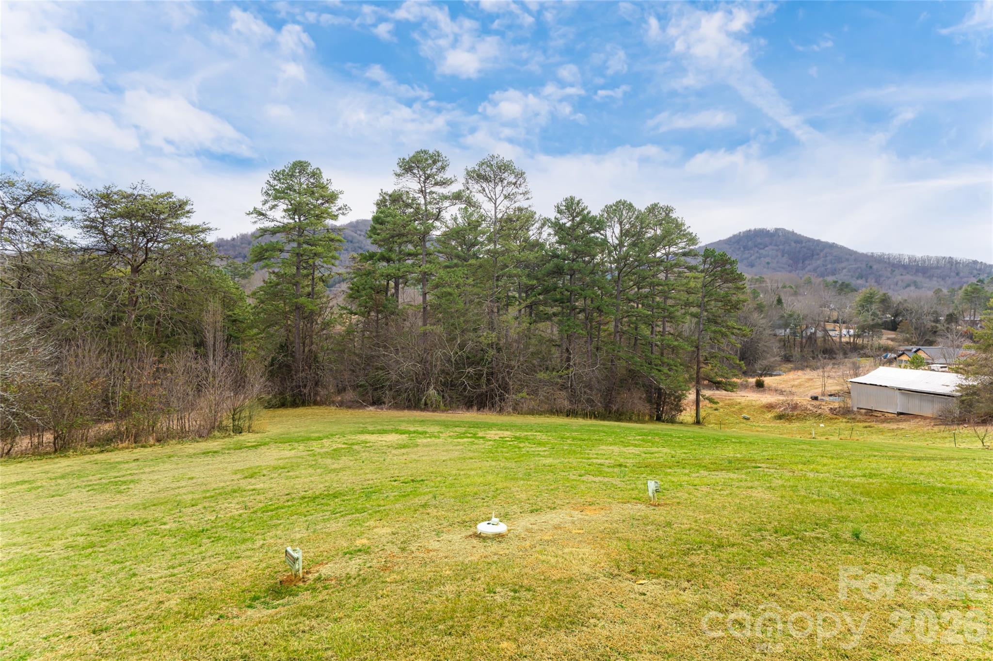 308 Gouges Branch Road Leicester, NC 28748 - Photo 42 of 47