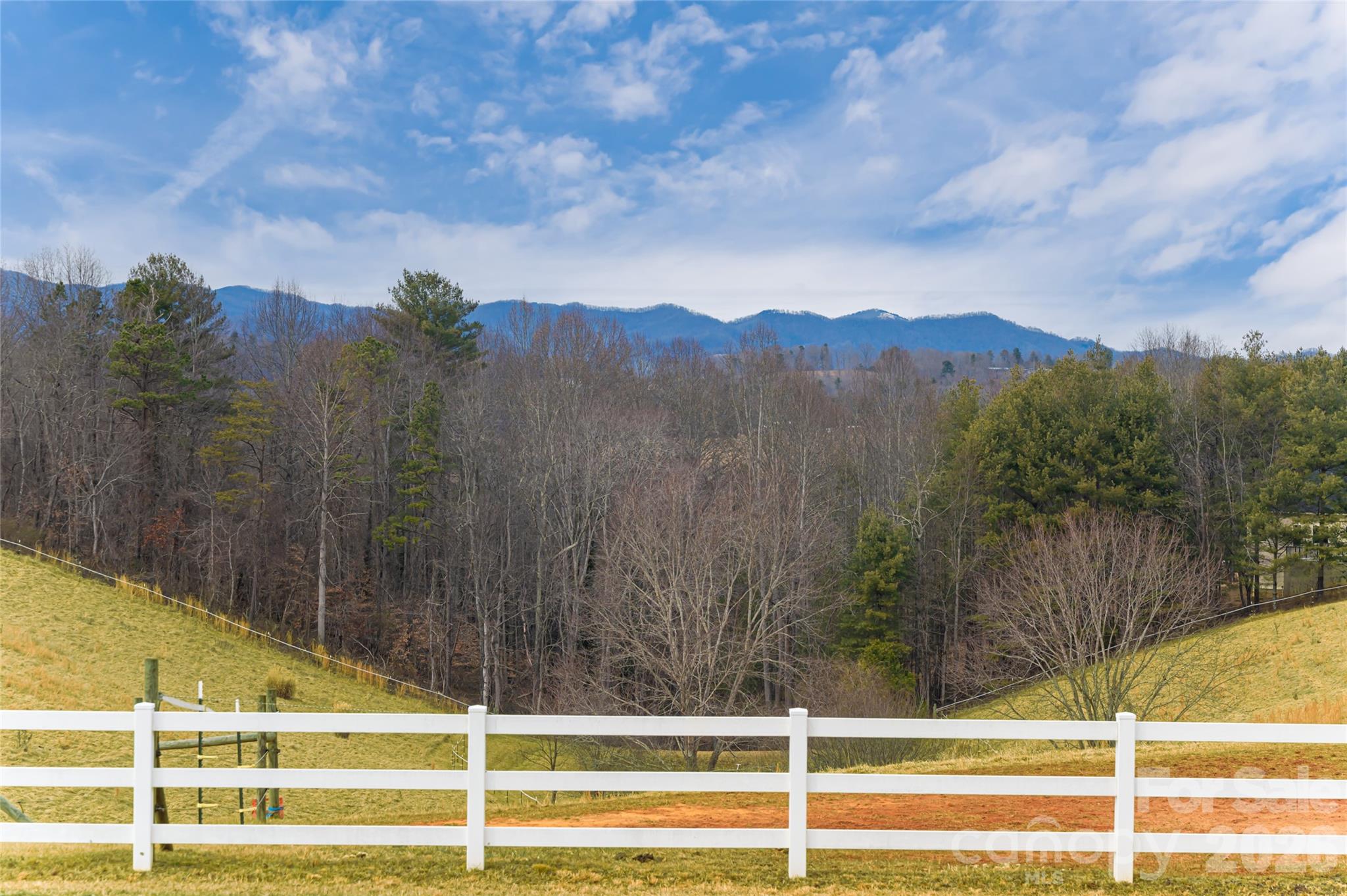 308 Gouges Branch Road Leicester, NC 28748 - Photo 44 of 47