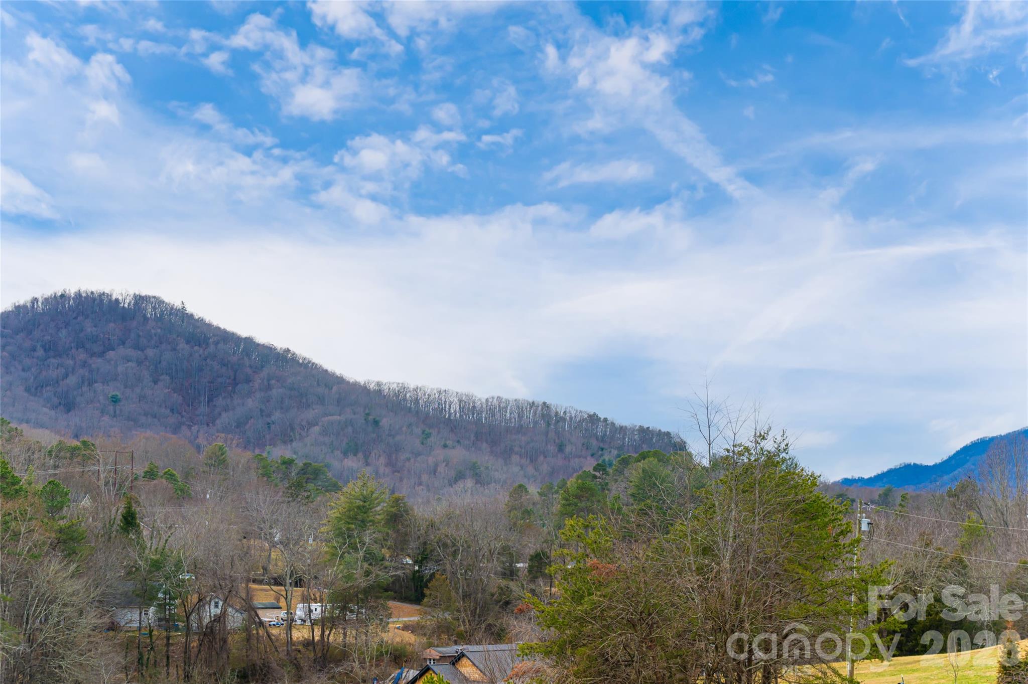 308 Gouges Branch Road Leicester, NC 28748 - Photo 46 of 47