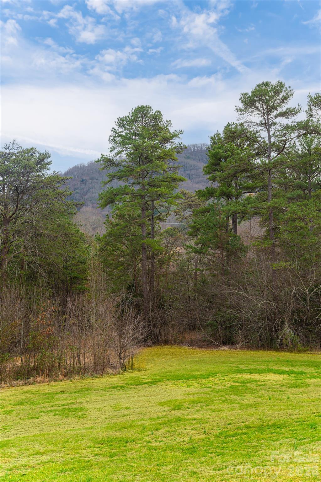 308 Gouges Branch Road Leicester, NC 28748 - Photo 47 of 47