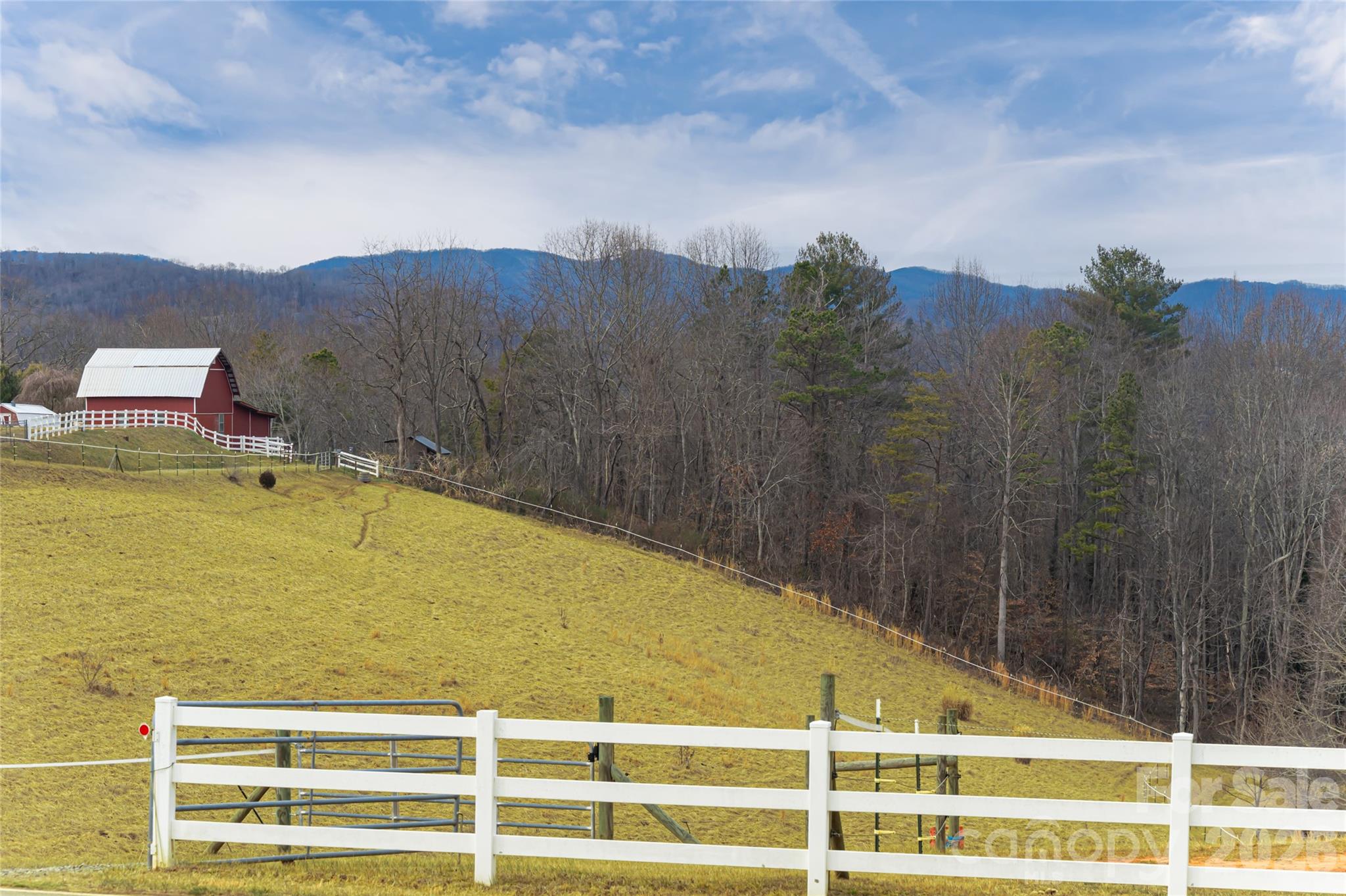 308 Gouges Branch Road Leicester, NC 28748 - Photo 6 of 47