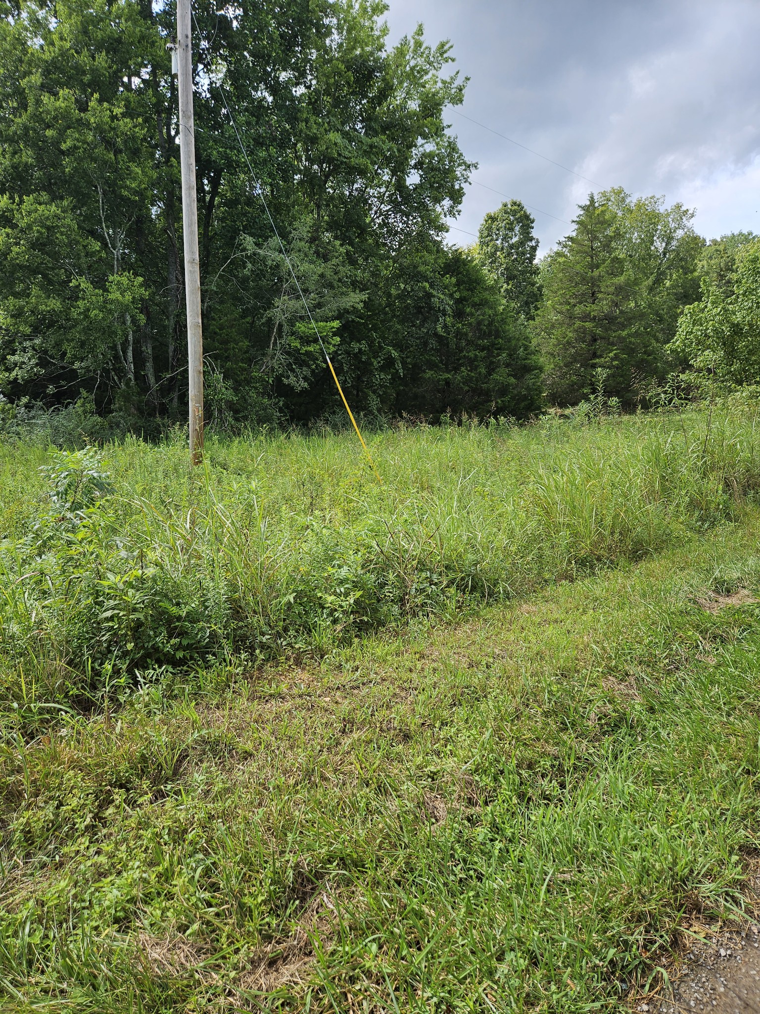 0 Back Piney Road Bon Aqua, TN 37025 - Photo 1 of 2 Gallery Image 1
