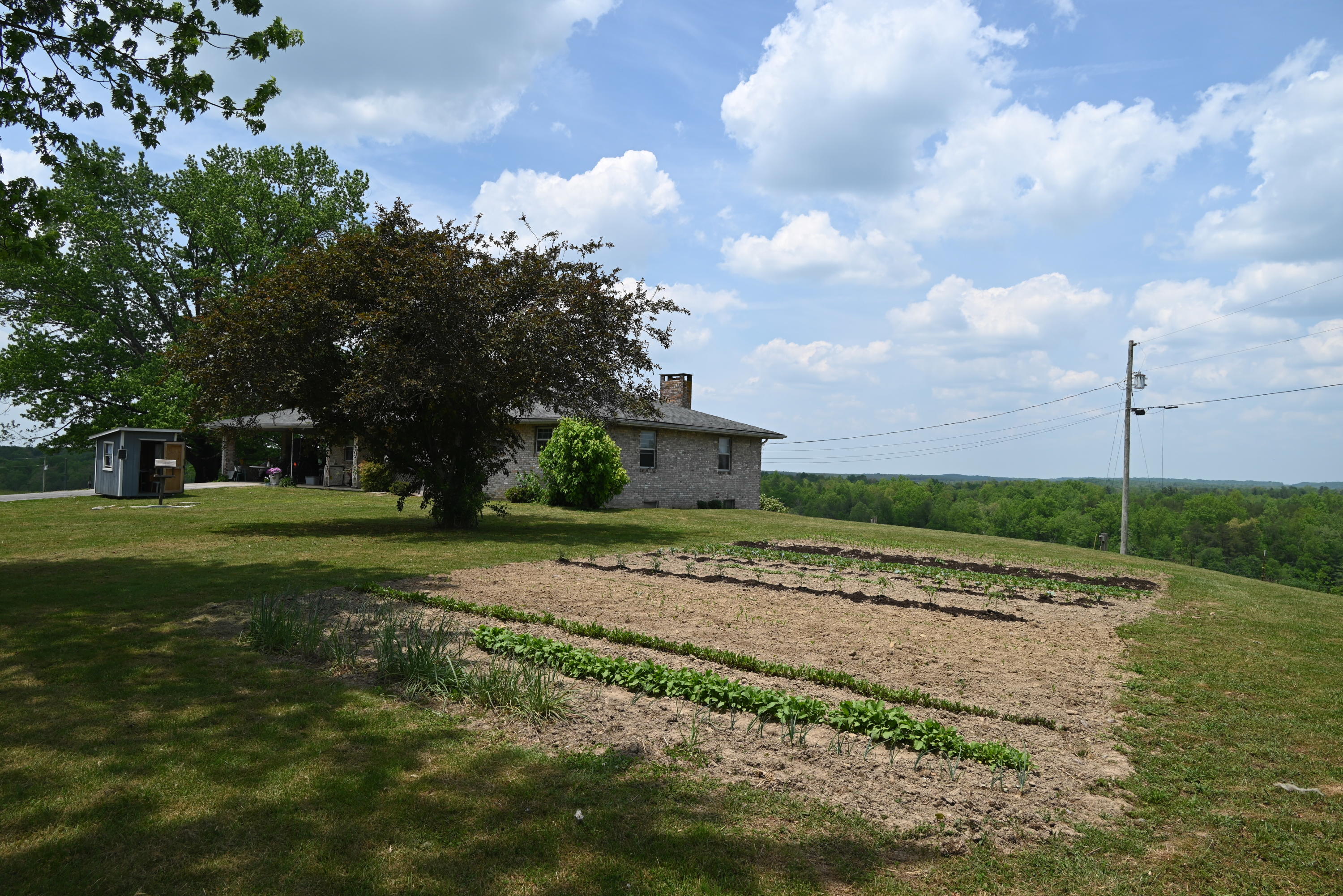 274 Twin Bridge Road Deer Lodge, TN 37726 - Photo 34 of 39 DSC_1141