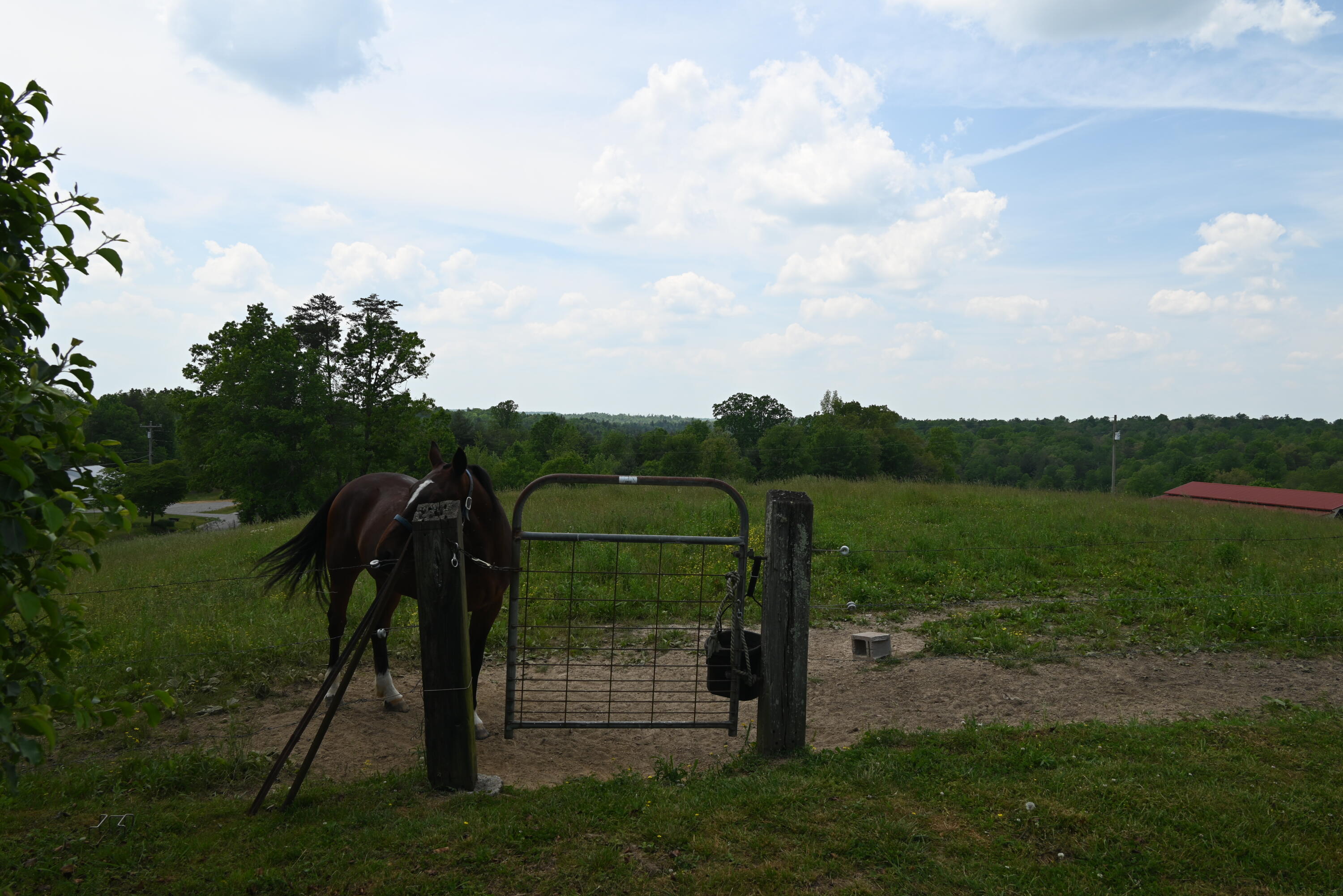 274 Twin Bridge Road Deer Lodge, TN 37726 - Photo 38 of 39 DSC_1147