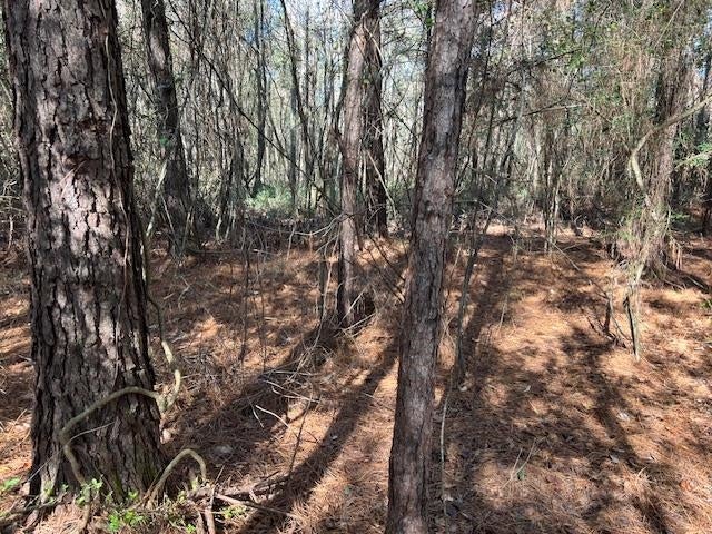 26230 Hub Brown Road Opp, AL 36467 - Photo 11 of 27 Gallery Image 11