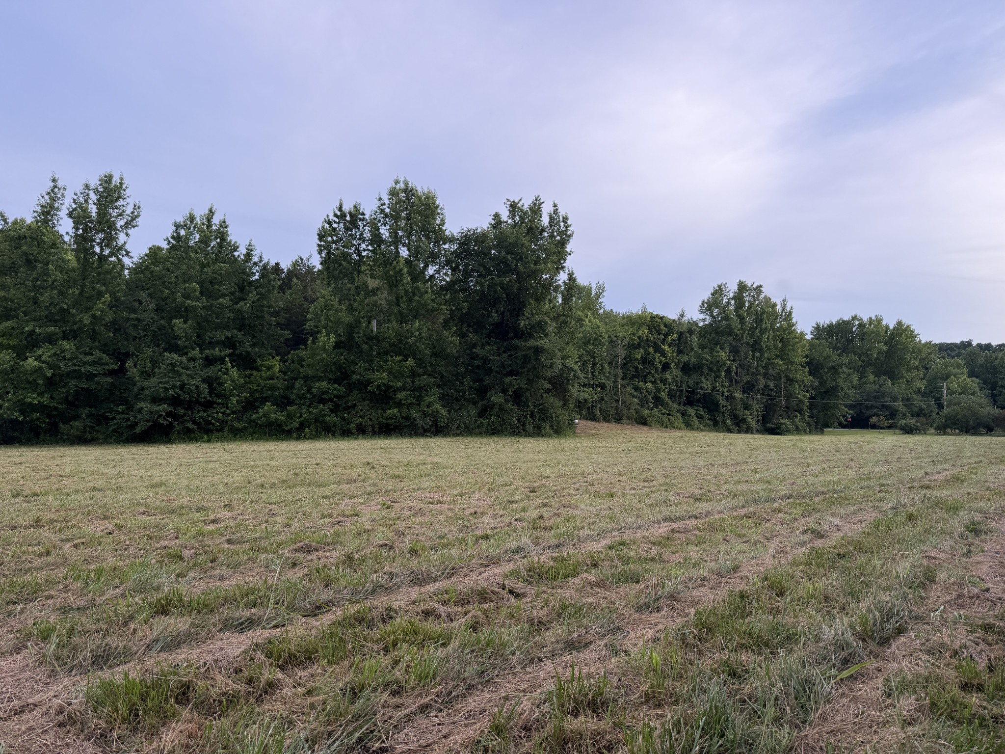 0 Dry Branch Road Holladay, TN 38341 - Photo 5 of 17