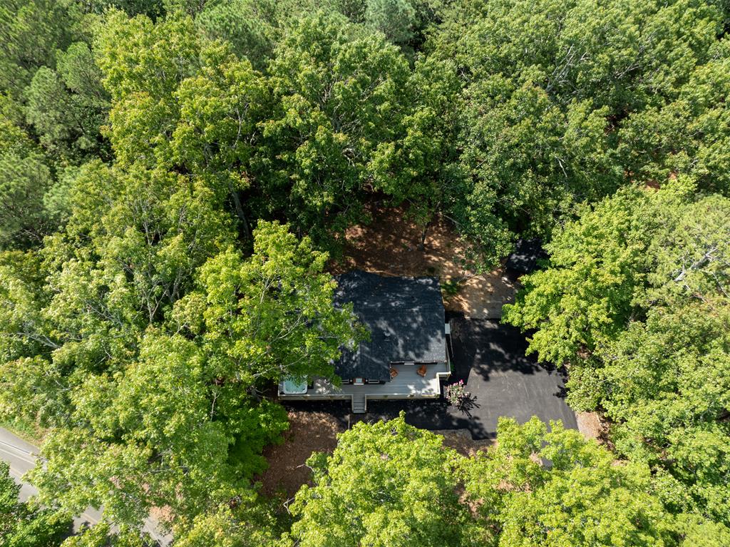 929 Camp Branch Road Ellijay, GA 30540 - Photo 35 of 50