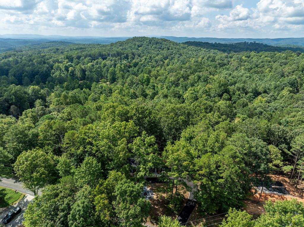 929 Camp Branch Road Ellijay, GA 30540 - Photo 36 of 50