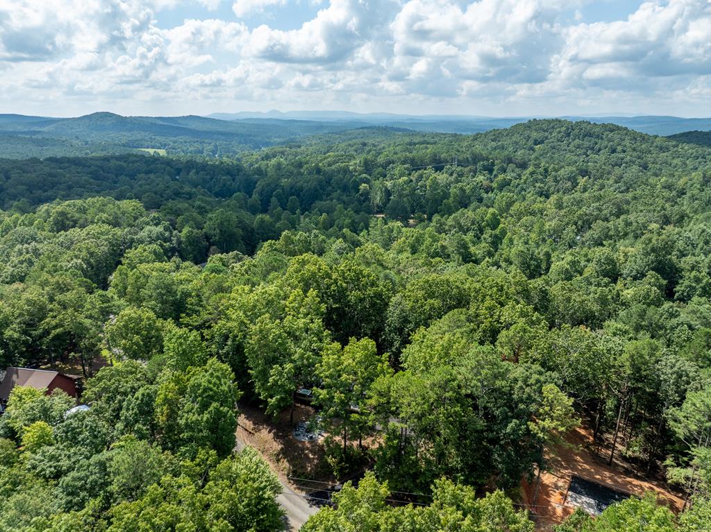 929 Camp Branch Road Ellijay, GA 30540 - Photo 37 of 50