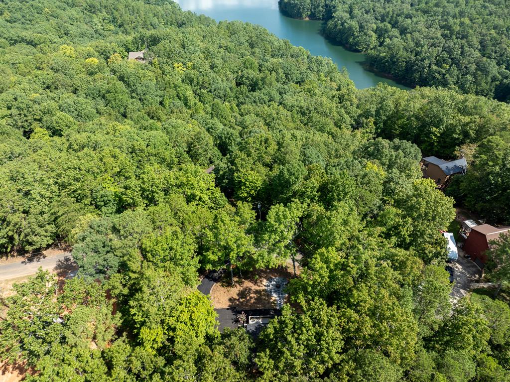 929 Camp Branch Road Ellijay, GA 30540 - Photo 38 of 50