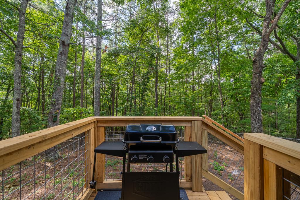 929 Camp Branch Road Ellijay, GA 30540 - Photo 46 of 50