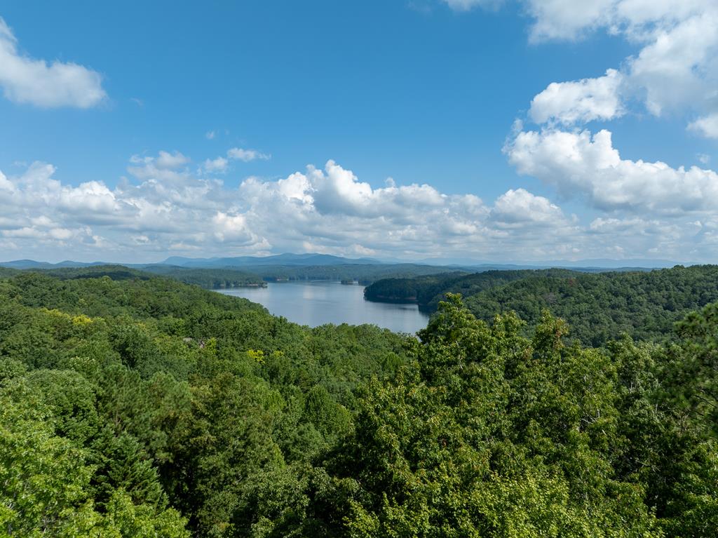 929 Camp Branch Road Ellijay, GA 30540 - Photo 7 of 50