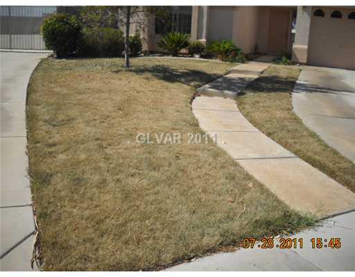 347 Marlin Cove Road Henderson, NV 89012 - Photo 7 of 7 Yard/Garden.