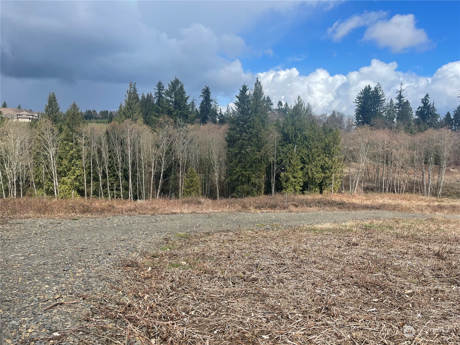 4217 Columbia Heights Road Longview, WA 98632 - Photo 4 of 5 Gallery Image 4