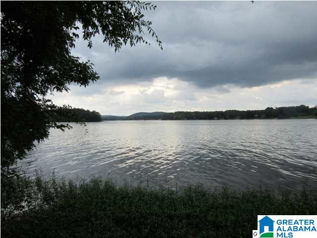 0 Timber Trail, Unit LOT 29 Sylacauga, AL 35151 - Photo 11 of 25