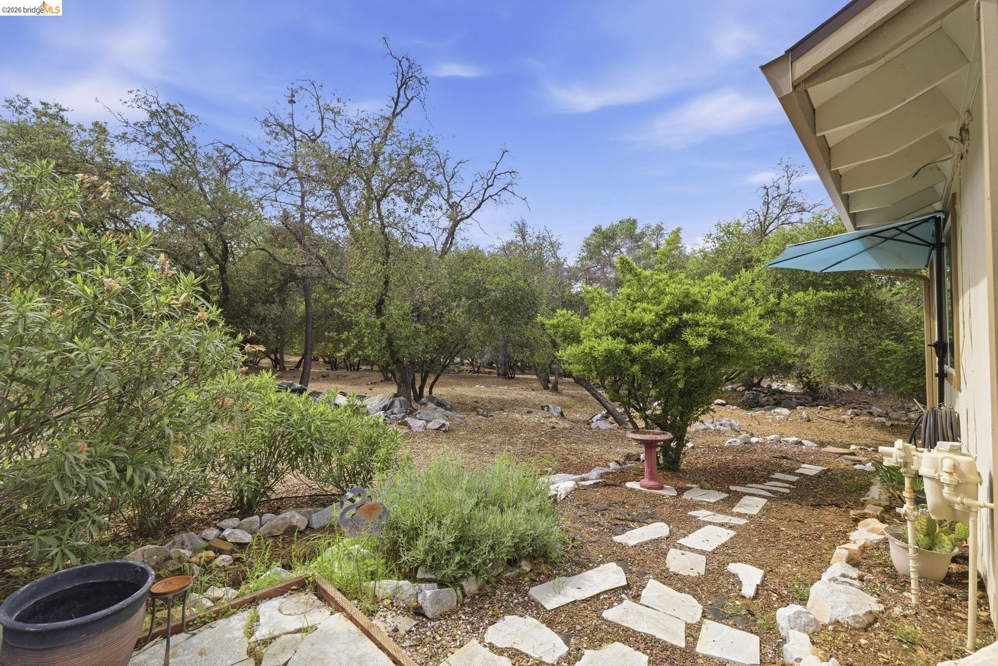 23685 Marble Quarry Road, Unit 8 Columbia, CA 95310 - Photo 19 of 25 a backyard of a house with lots of green space