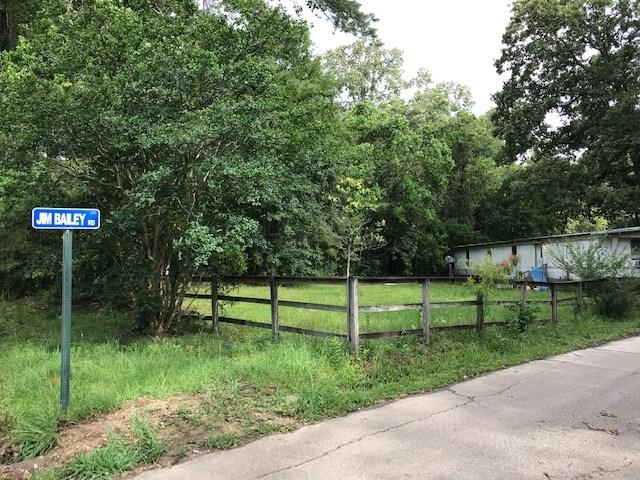 30395 George White Road Holden, LA 70744 - Photo 1 of 19
