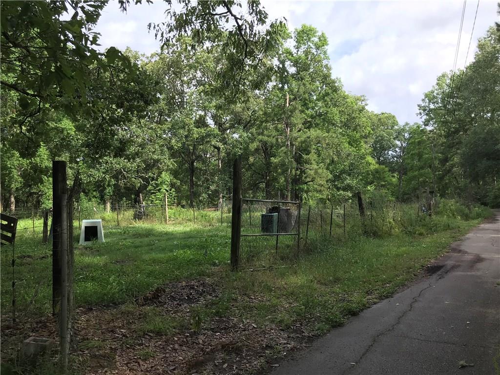 30395 George White Road Holden, LA 70744 - Photo 16 of 19