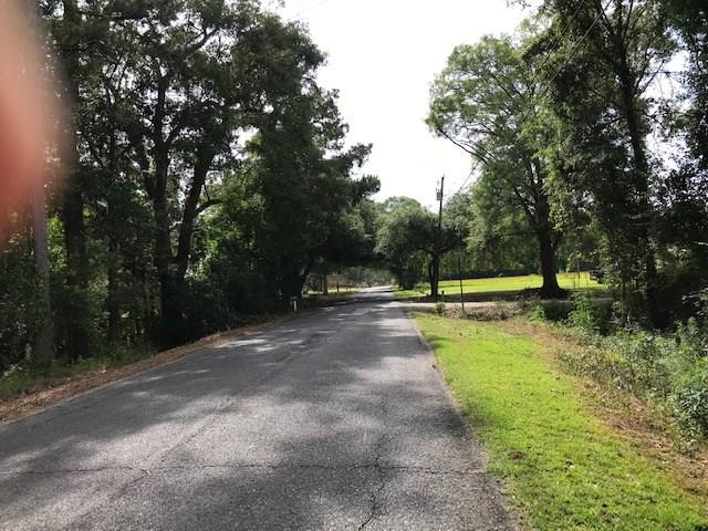 30395 George White Road Holden, LA 70744 - Photo 3 of 19