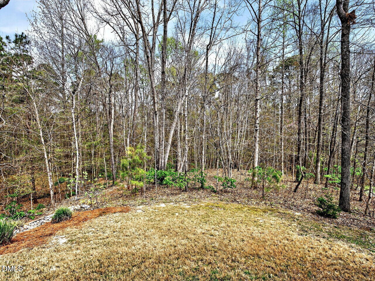 722 Toms Creek Road Cary, NC 27519 - Photo 5 of 42 a backyard of a building with trees