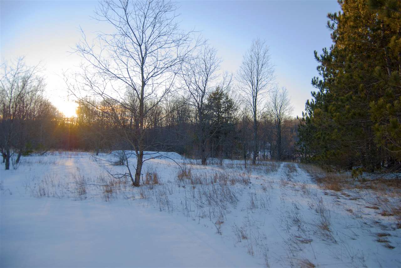 10356 Johnson Road Mancelona, MI 49659 - Photo 8 of 33 1883142-7.JPG