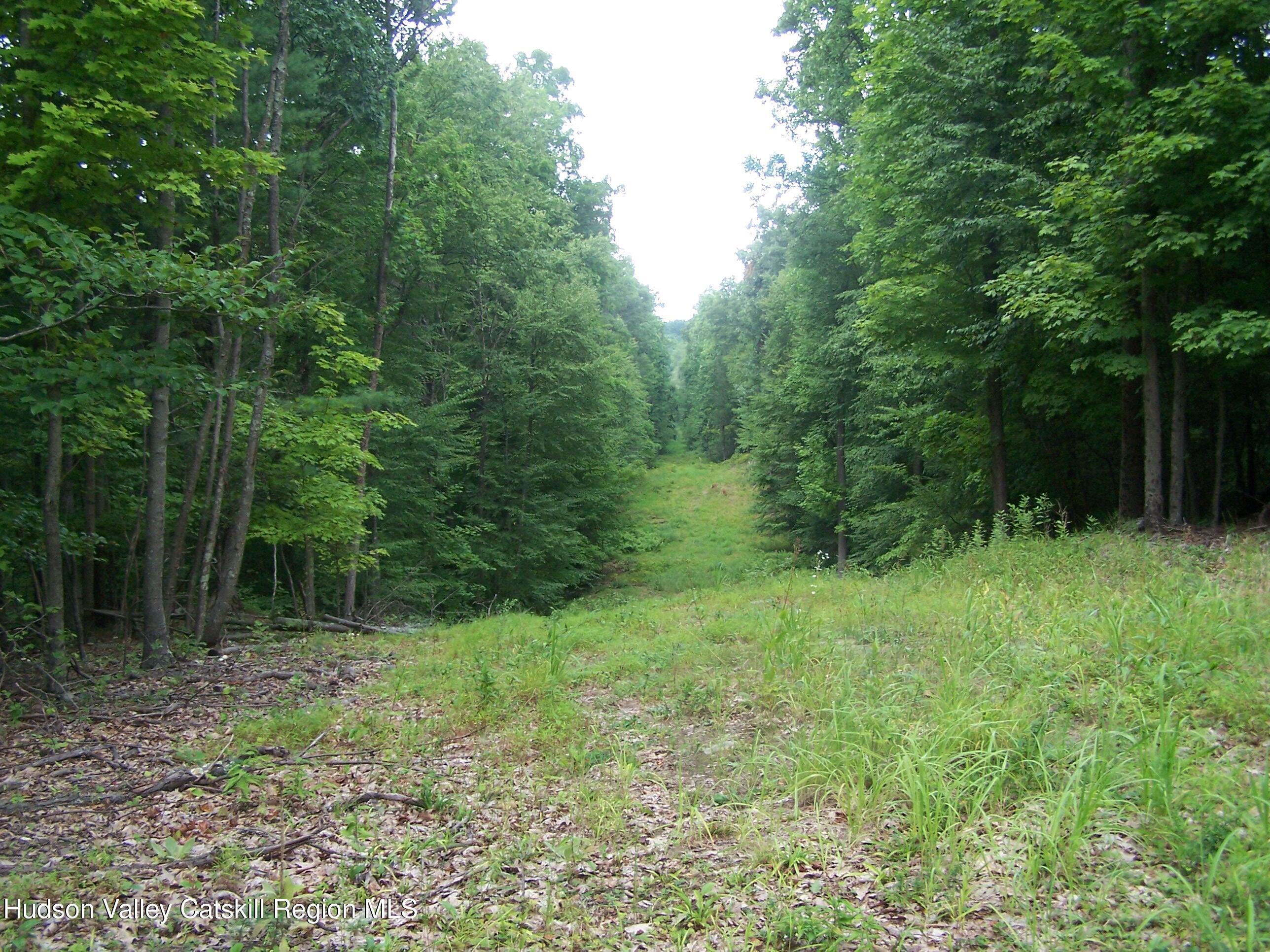Tbd Bellevue Road Highland, NY 12528 - Photo 12 of 35 bl11