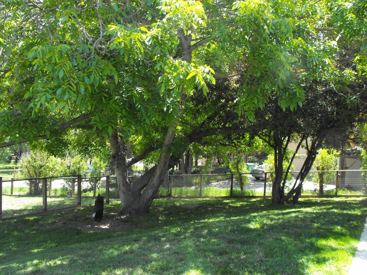 17958 Pesante Road Salinas, CA 93907 - Photo 11 of 41 Gallery Image 11