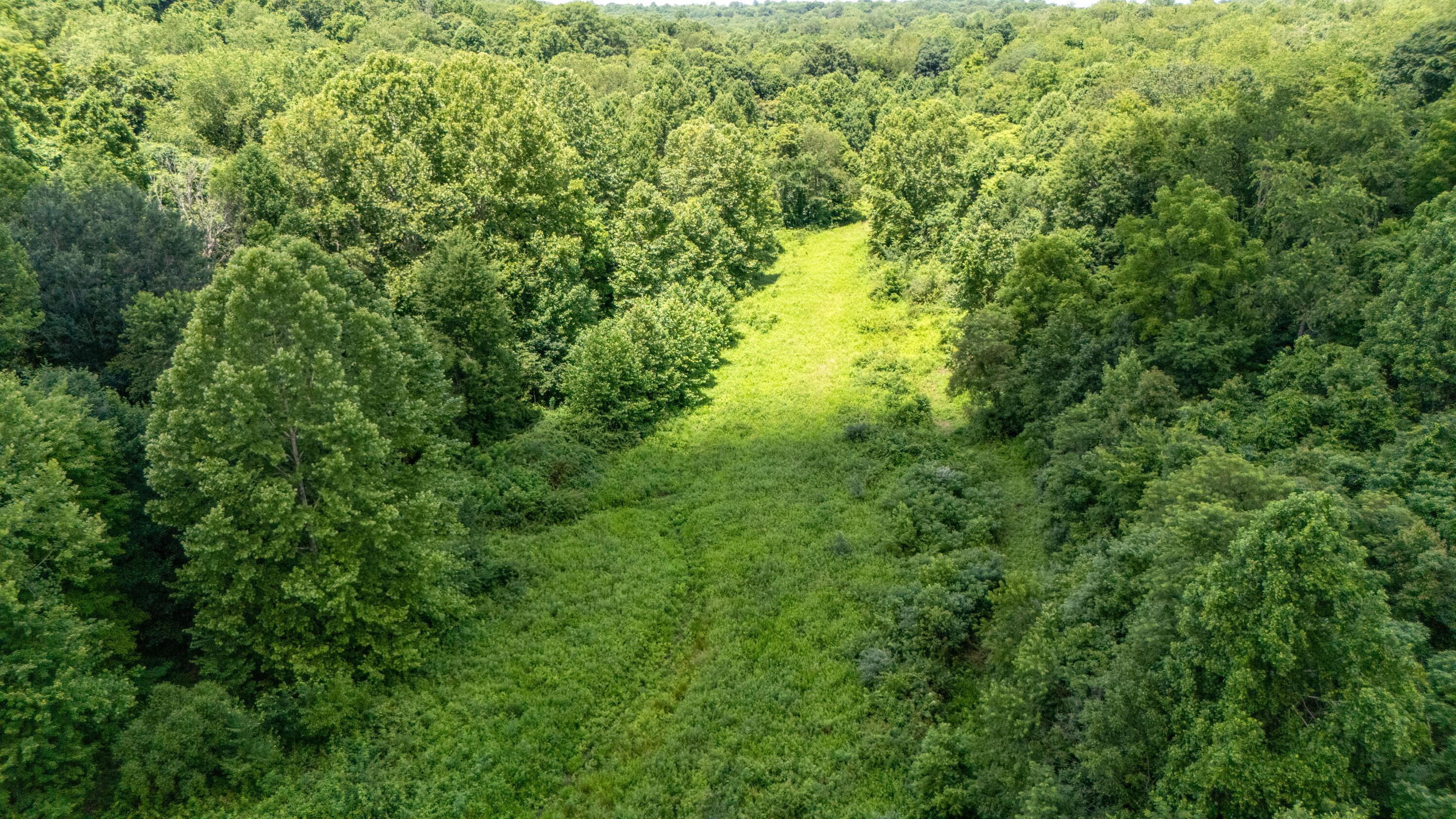 62130 Locker Plant Road McArthur, OH 45651 - Photo 39 of 47 Drone Woods 1