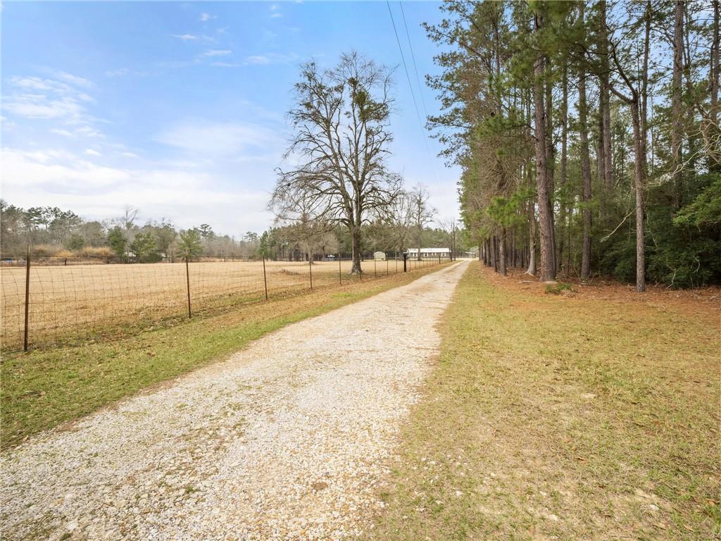 1865 Jack Nelson Road Deridder, LA 70634 - Photo 19 of 19