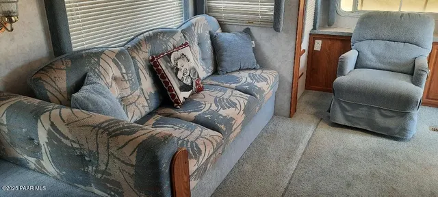 a view of a forest filled with trees