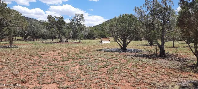 a view of a yard with a tree