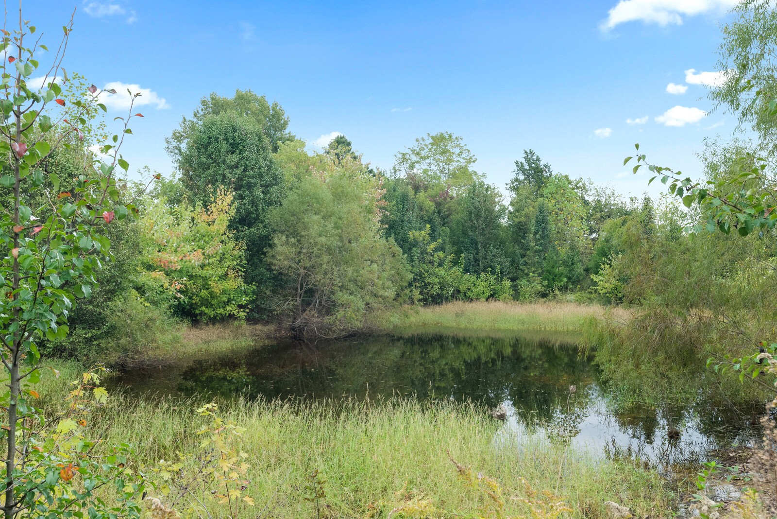 7336 Chowning Road Springfield, TN 37172 - Photo 41 of 45 a view of a lake view with a lake view