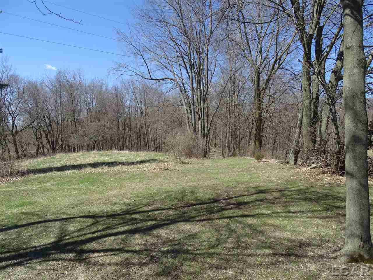 5600 South Meridian Road Hudson, MI 49247 - Photo 37 of 44 31376681-36.JPG