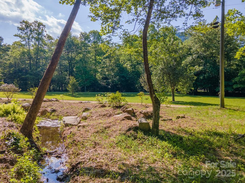 544 Stewart Road Otto, NC 28763 - Photo 3 of 46 Gallery Image 3