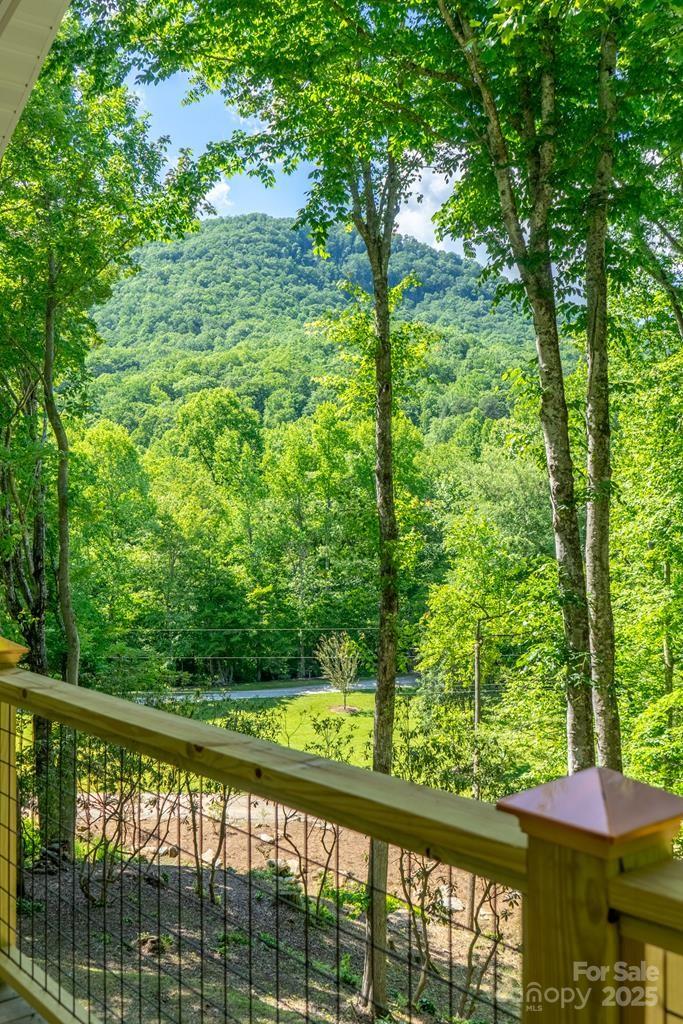544 Stewart Road Otto, NC 28763 - Photo 44 of 46 Gallery Image 44