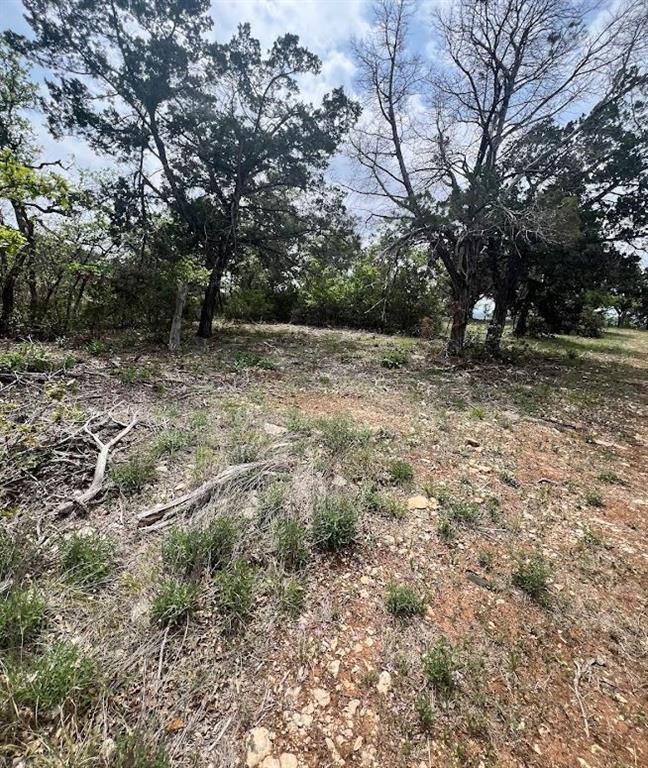 Tbd Tyler Trail Leander, TX 78645 - Photo 12 of 21 a view of outdoor space with trees