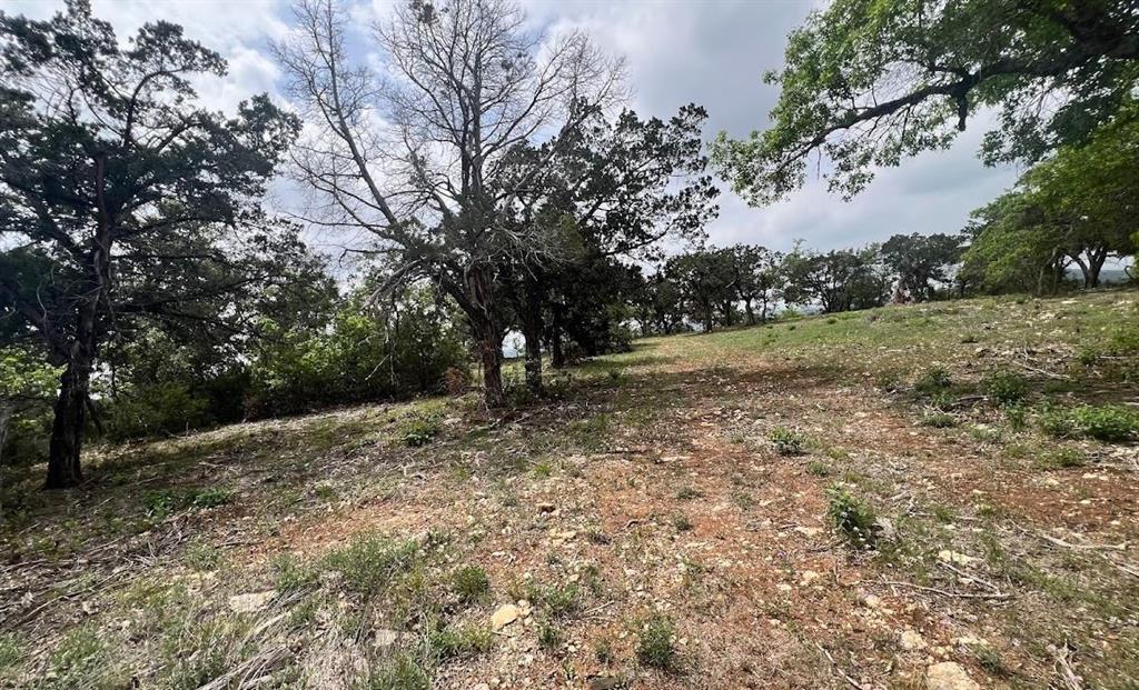 Tbd Tyler Trail Leander, TX 78645 - Photo 13 of 21 a view of a yard with a tree