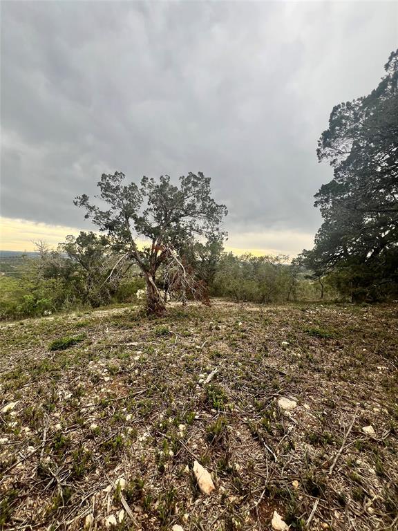 Tbd Tyler Trail Leander, TX 78645 - Photo 17 of 21 a view of a field with an trees