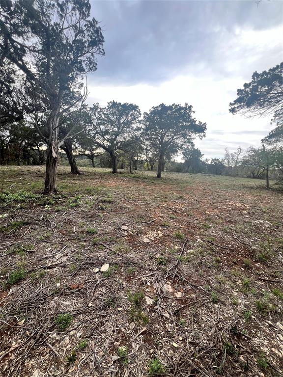 Tbd Tyler Trail Leander, TX 78645 - Photo 18 of 21