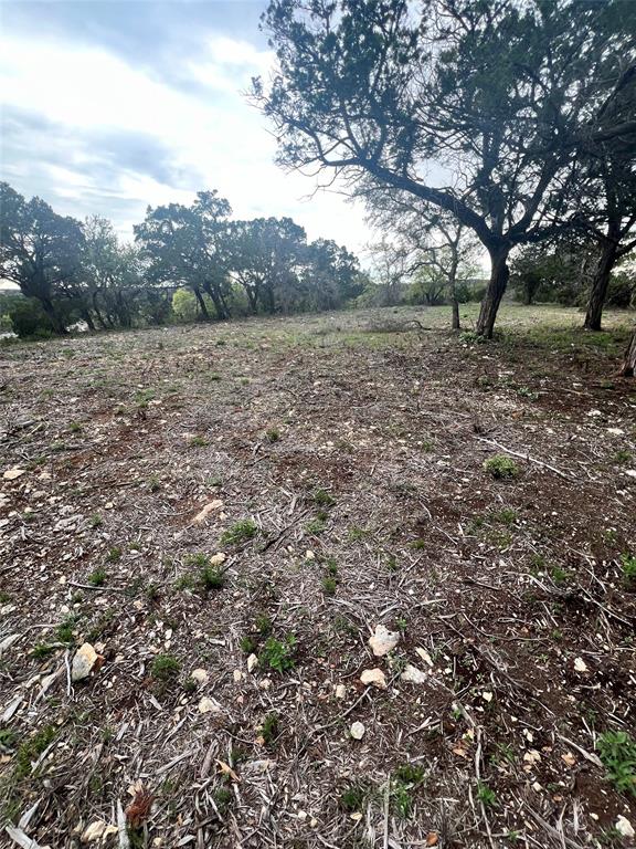 Tbd Tyler Trail Leander, TX 78645 - Photo 19 of 21 a view of a field with trees in the background