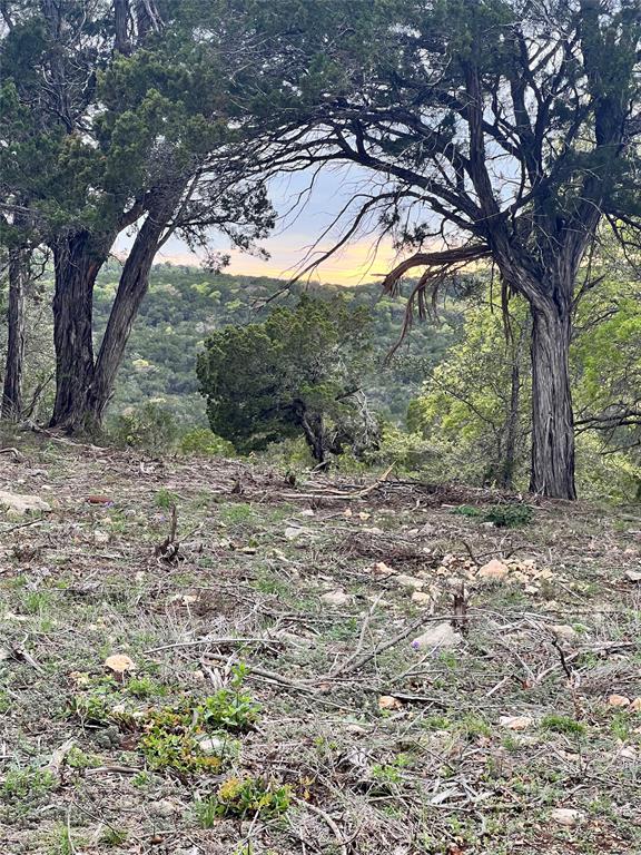 Tbd Tyler Trail Leander, TX 78645 - Photo 5 of 21 a view of a yard with a tree
