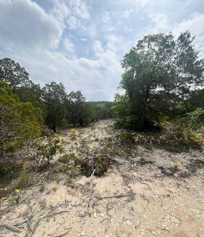 Tbd Tyler Trail Leander, TX 78645 - Photo 9 of 21 a view of a yard with plants and a bench