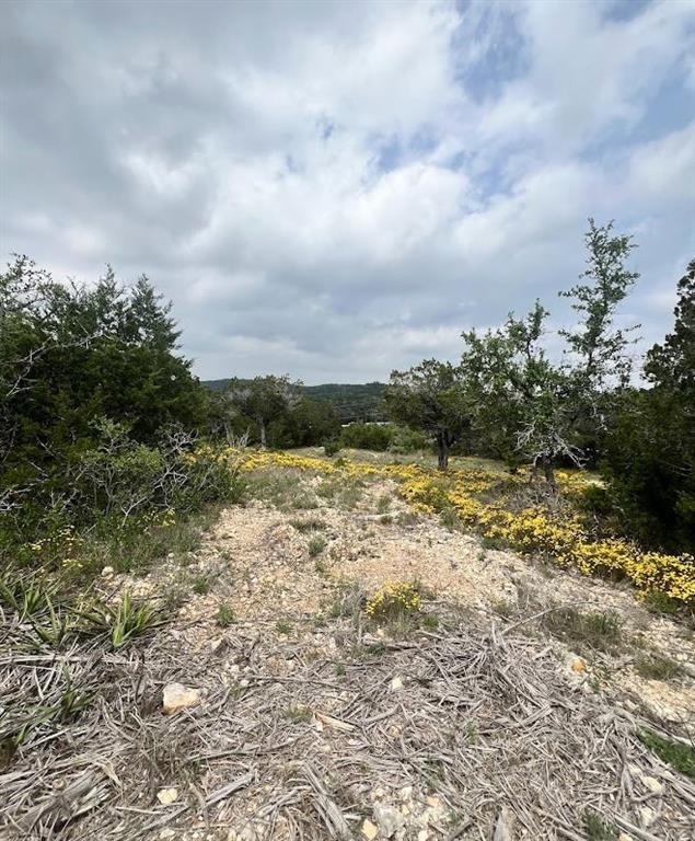 Tbd Tyler Trail Leander, TX 78645 - Photo 10 of 21 a view of a yard with an trees