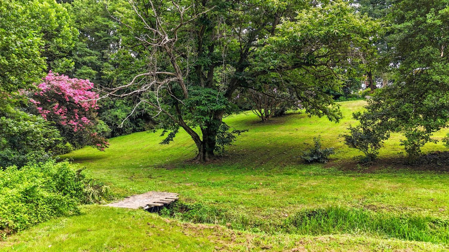157 Old Country Road Monroe, VA 24574 - Photo 30 of 41 a backyard of a house with lots of green space