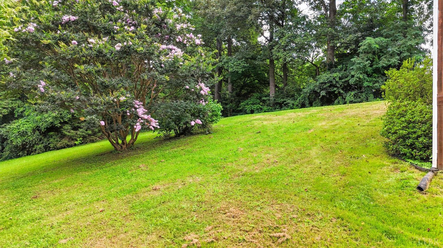 157 Old Country Road Monroe, VA 24574 - Photo 33 of 41 a view of field with trees in the background