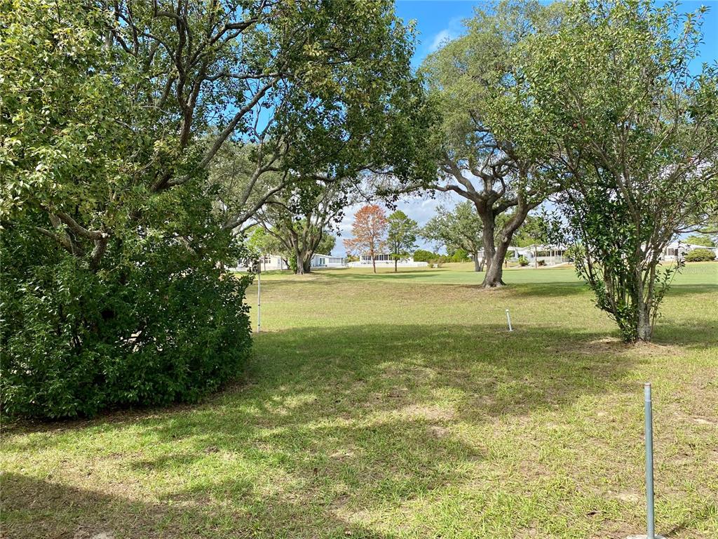 14517 Rialto Avenue Brooksville, FL 34613 - Photo 6 of 35 a view of yard with green space and trees