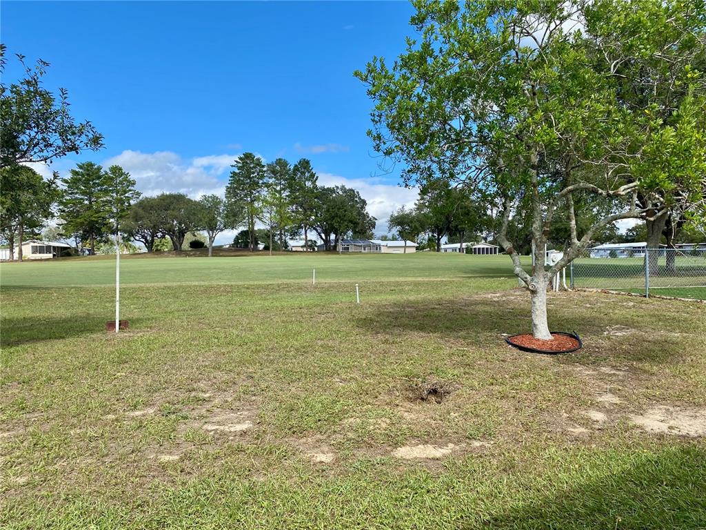 14517 Rialto Avenue Brooksville, FL 34613 - Photo 7 of 35 a garden view with a playing ground