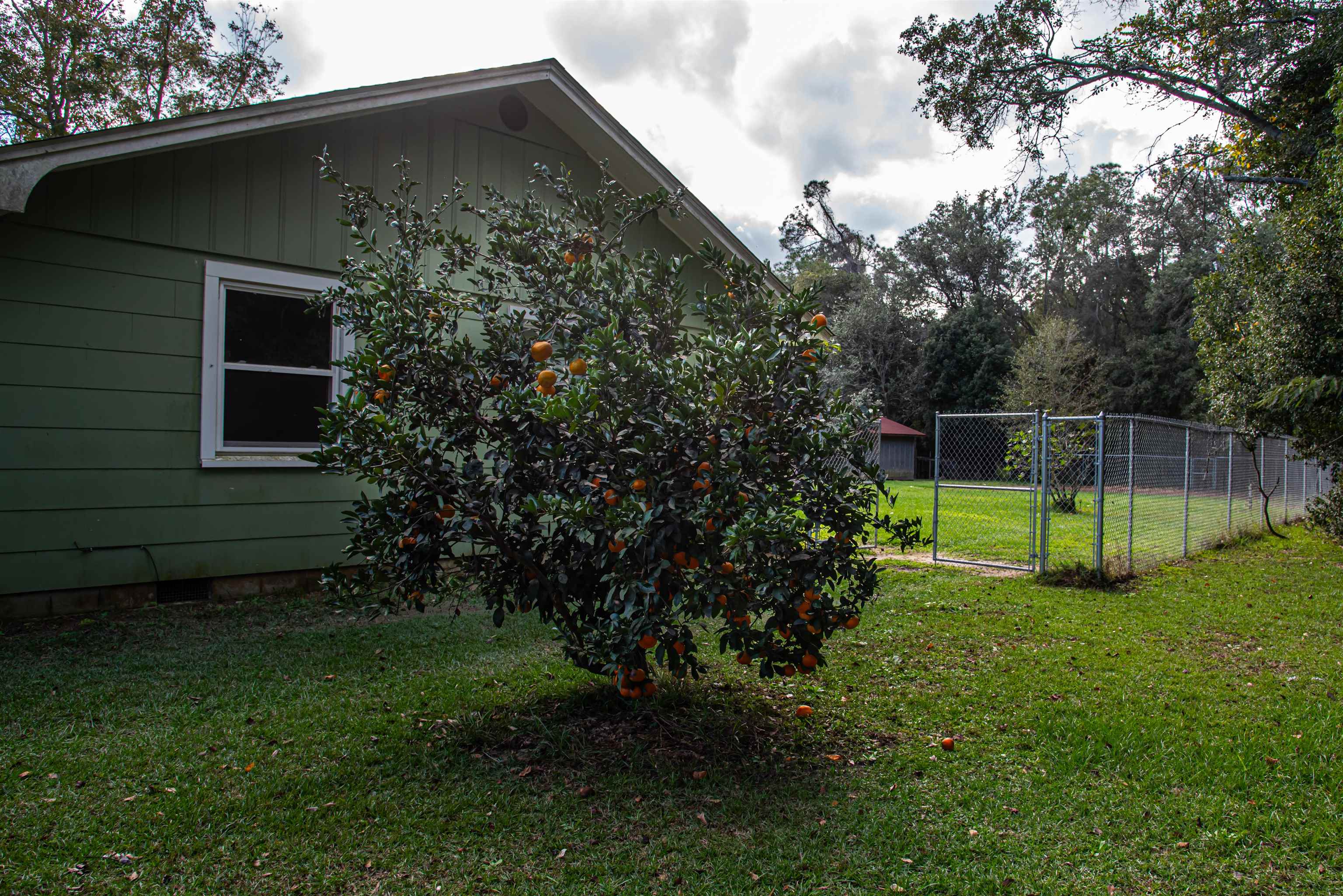 309 Northwest 4th Street Summerdale, AL 36580 - Photo 49 of 50 Yard