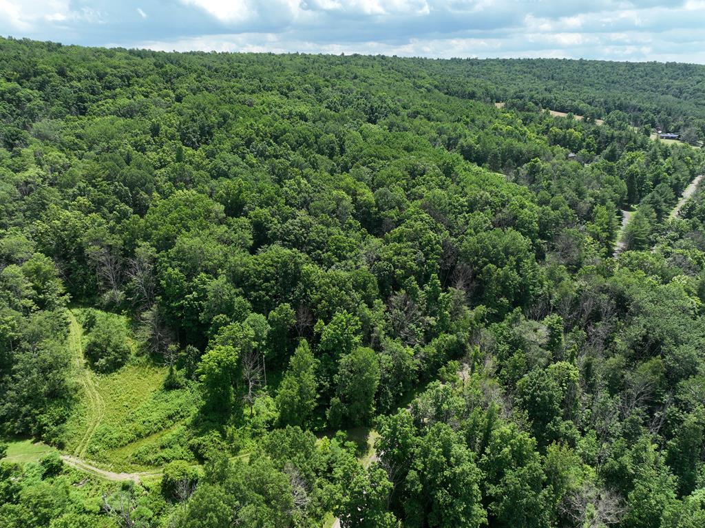 1196 Bell Hill Road Painted Post, NY 14870 - Photo 1 of 1